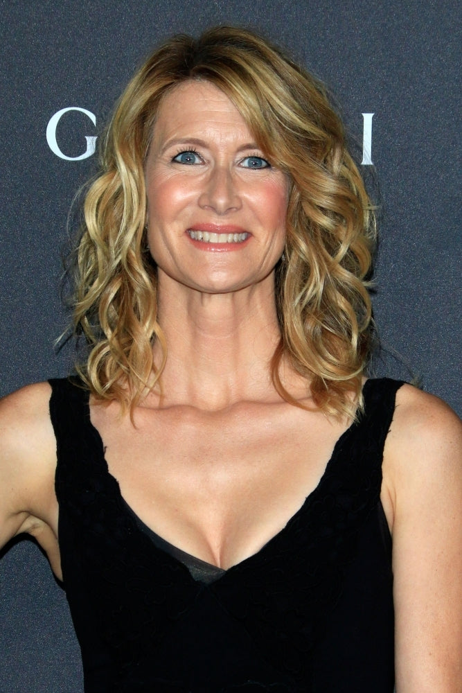 Laura Dern At Arrivals For 2016 Lacma Art Film Gala Los Angeles County Museum Of Art Los Angeles Ca October 29 Image 1