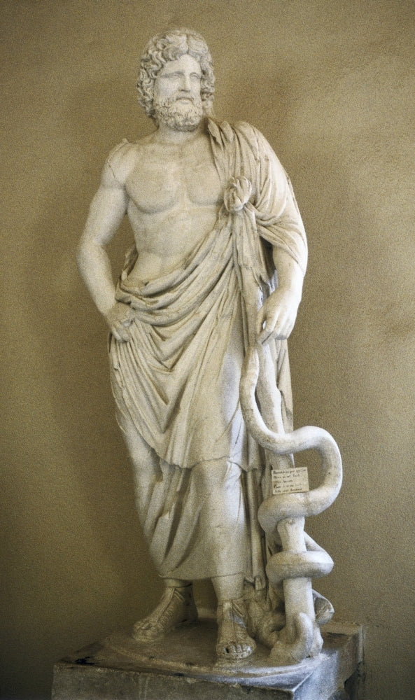 Asclepius Poster Print Image 1