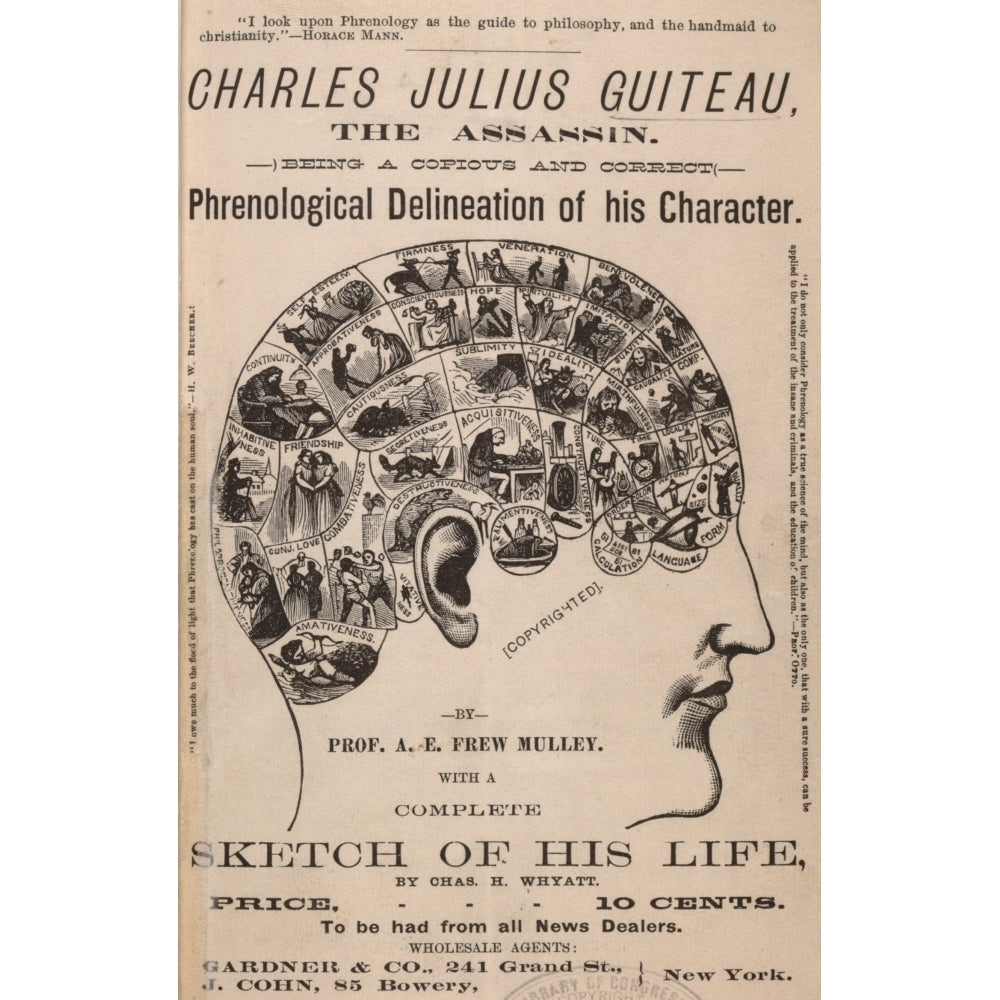 Phrenological Chart Of The Brain Of Charles J. Guiteau History Image 1