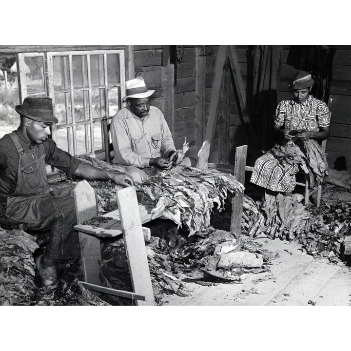 An African American Family Of Farmers History Image 1