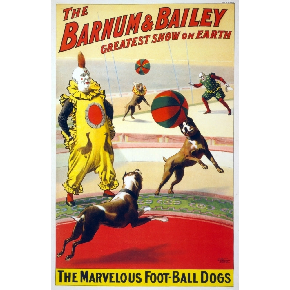 A Clown Perform With The Marvelous Foot-Ball Dogs In The Barnum and Bailey Circus. Poster History Image 1