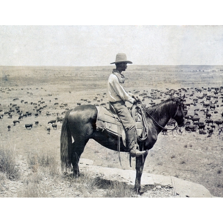 A Texas Cowboy On Horseback On A Knoll Looking Down At A Herd Of Cattle On The Range History Image 1