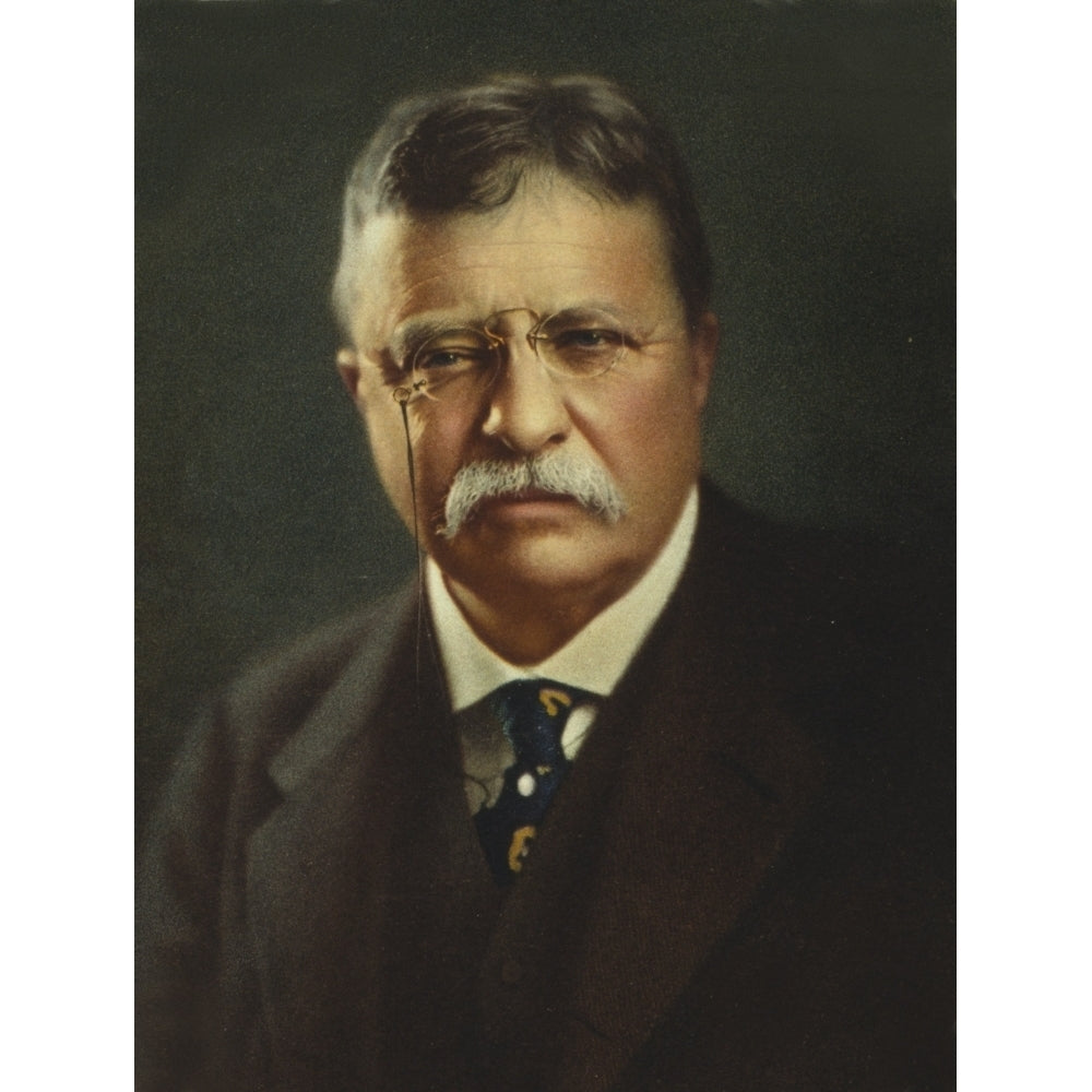 Commemorative Portrait Of President Theodore Roosevelt History Image 1