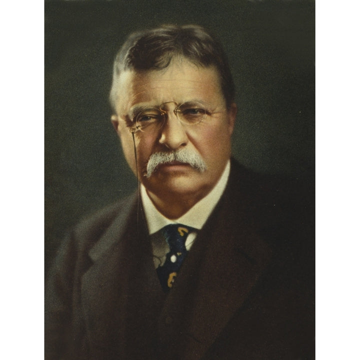 Commemorative Portrait Of President Theodore Roosevelt History Image 1