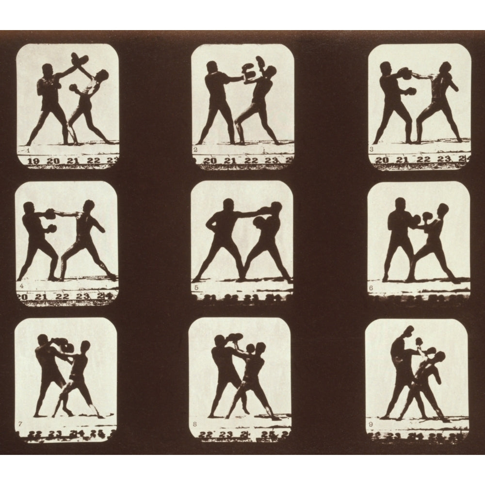 Consecutive Images Of Two Men Boxing. From Eadweard MuybridgeS History Image 2