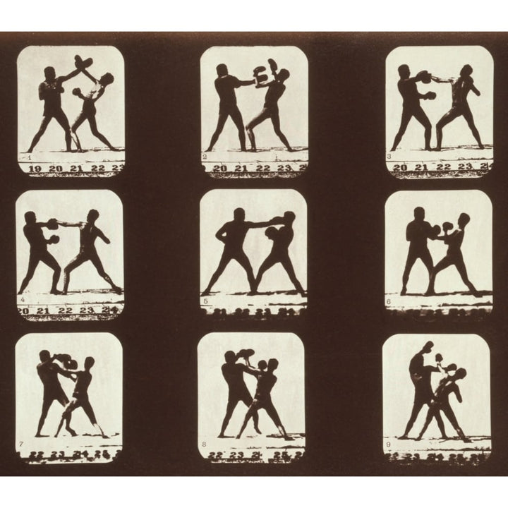 Consecutive Images Of Two Men Boxing. From Eadweard MuybridgeS History Image 1