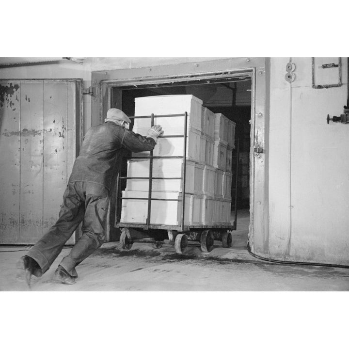 Worker Pushes A Heavy Cart Of Packed Eggs Into A Cold Storage Warehouse History Image 1