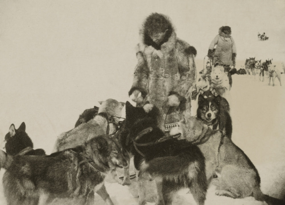 Leonhard Seppala And His Dog-Team History Image 1