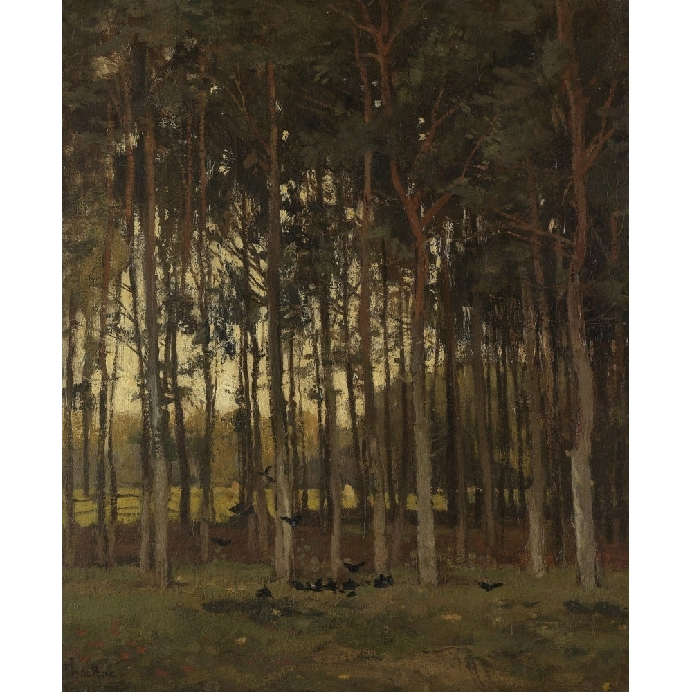 View In The Woods Poster Print Image 1