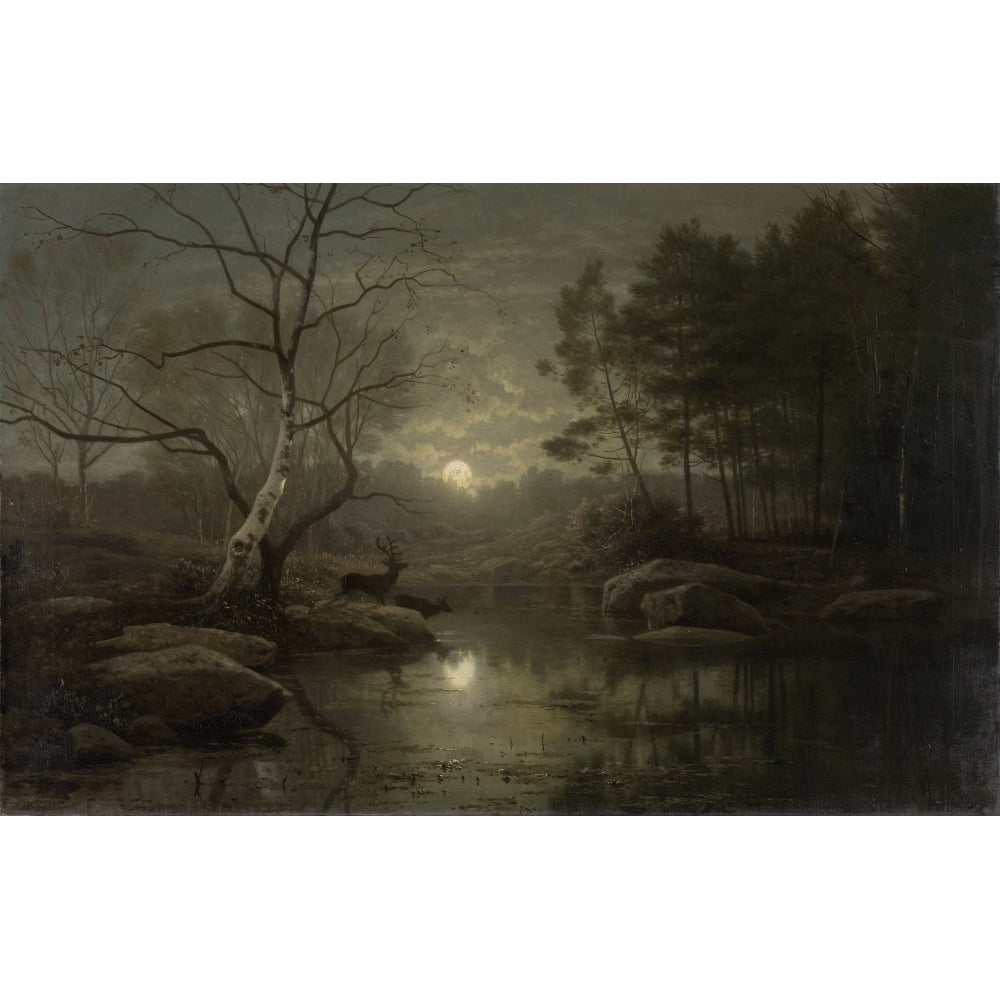 Forest Landscape In The Moonlight Poster Print Image 2