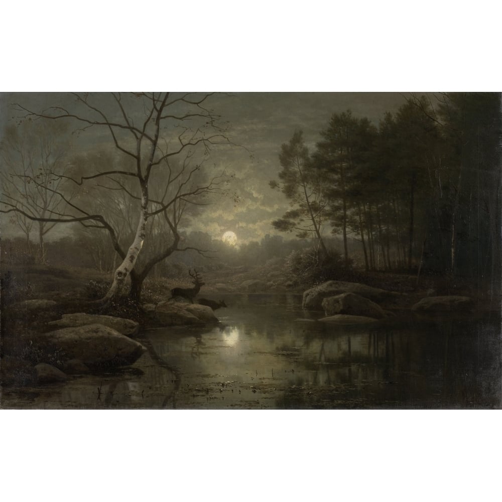 Forest Landscape In The Moonlight Poster Print Image 1