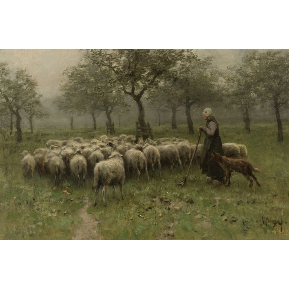 Shepherdess With A Flock Of Sheep Poster Print Image 1