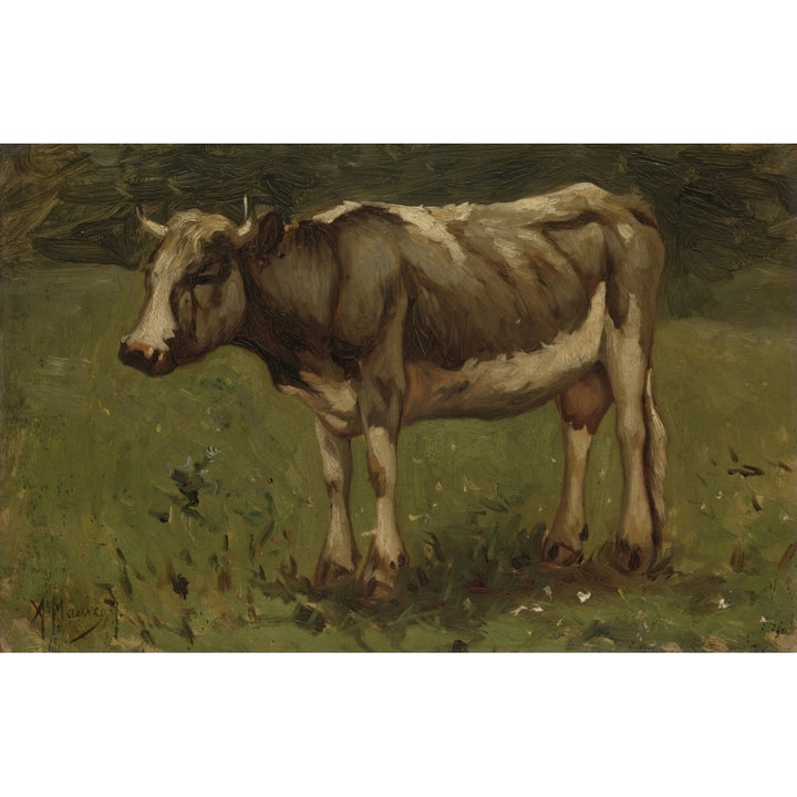 Cow Poster Print Image 2