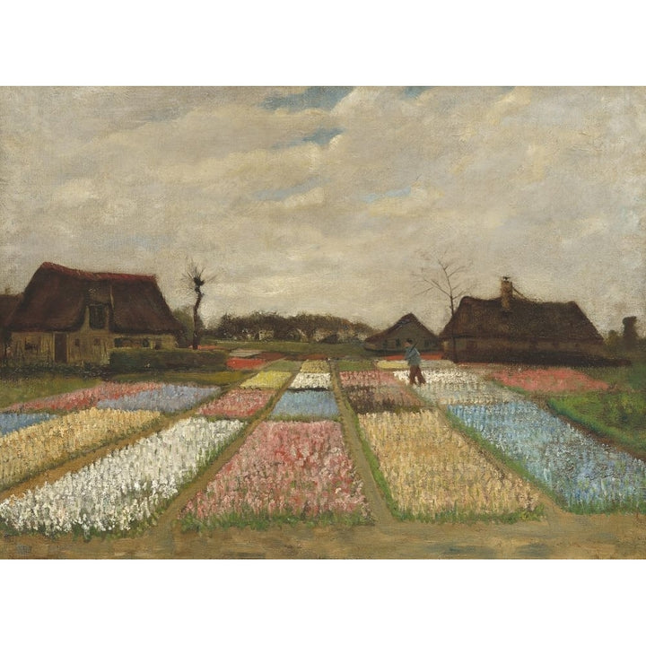 Flower Beds In Holland Poster Print Image 1