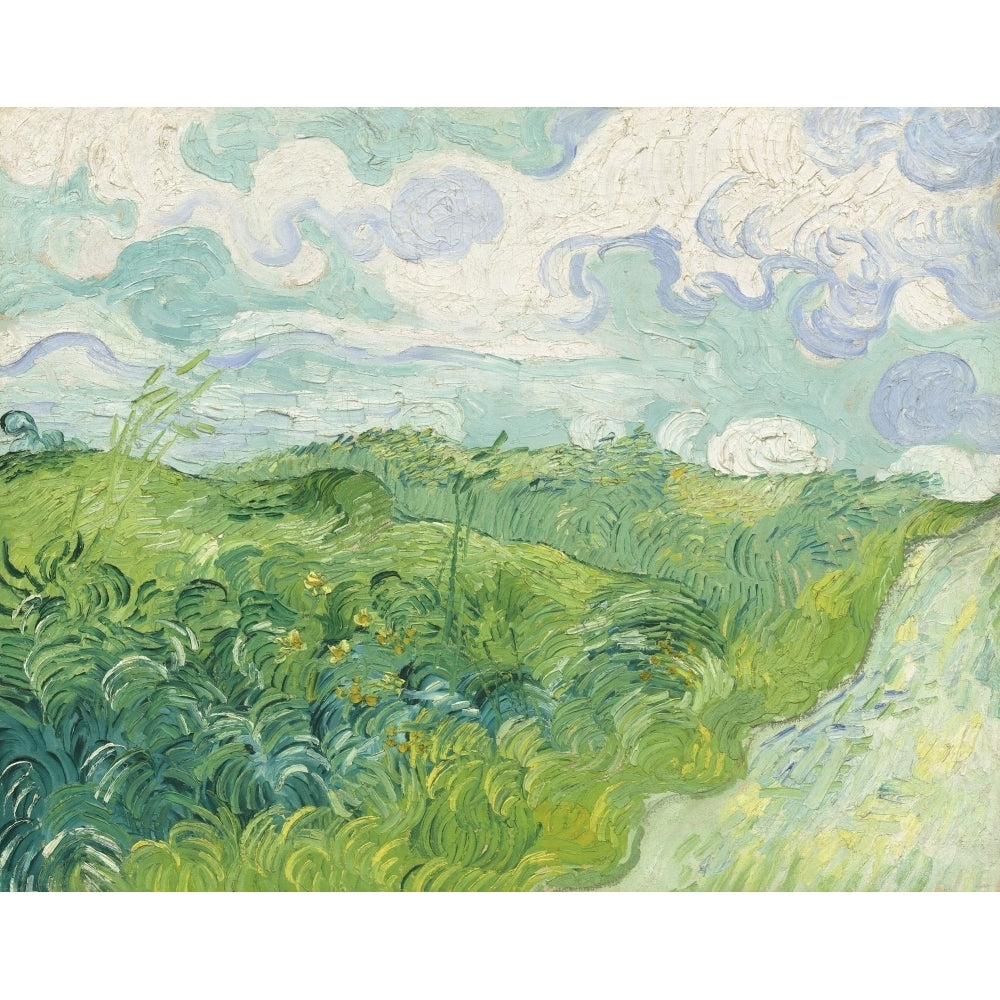 Green Wheat Fields Poster Print Image 2