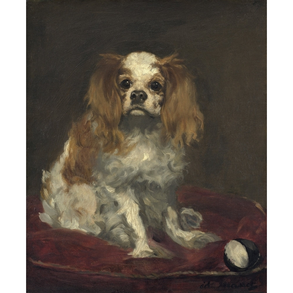 A King Charles Spaniel By Edouard Manet 1866 French Painting Oil On Linen Poster Print Image 2