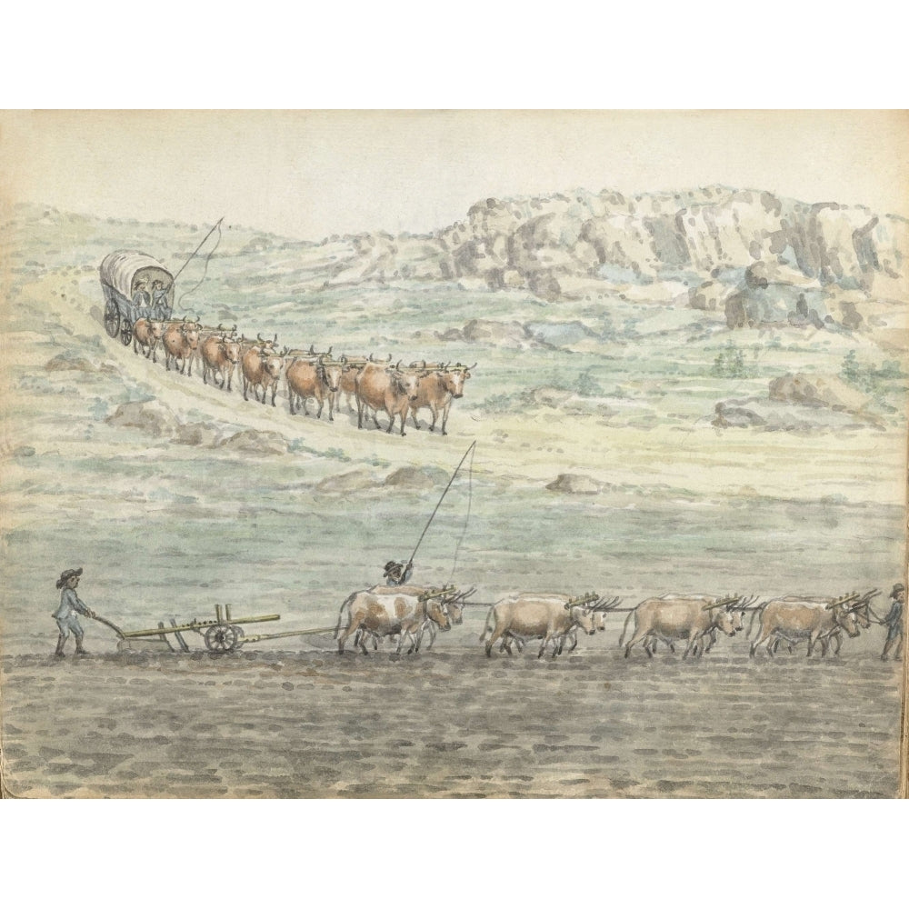 Ox-Span For Covered Wagon And Plow Poster Print Image 1