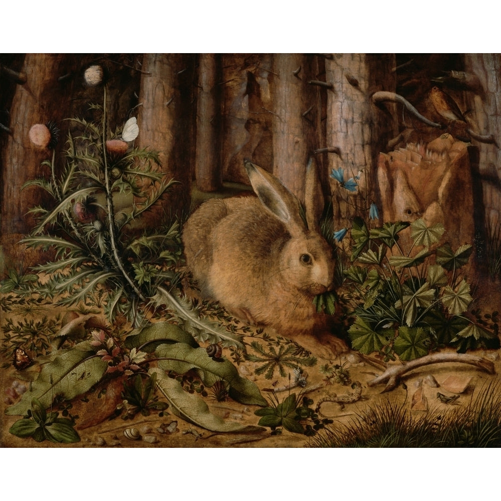 A Hare In The Forest Poster Print Image 2