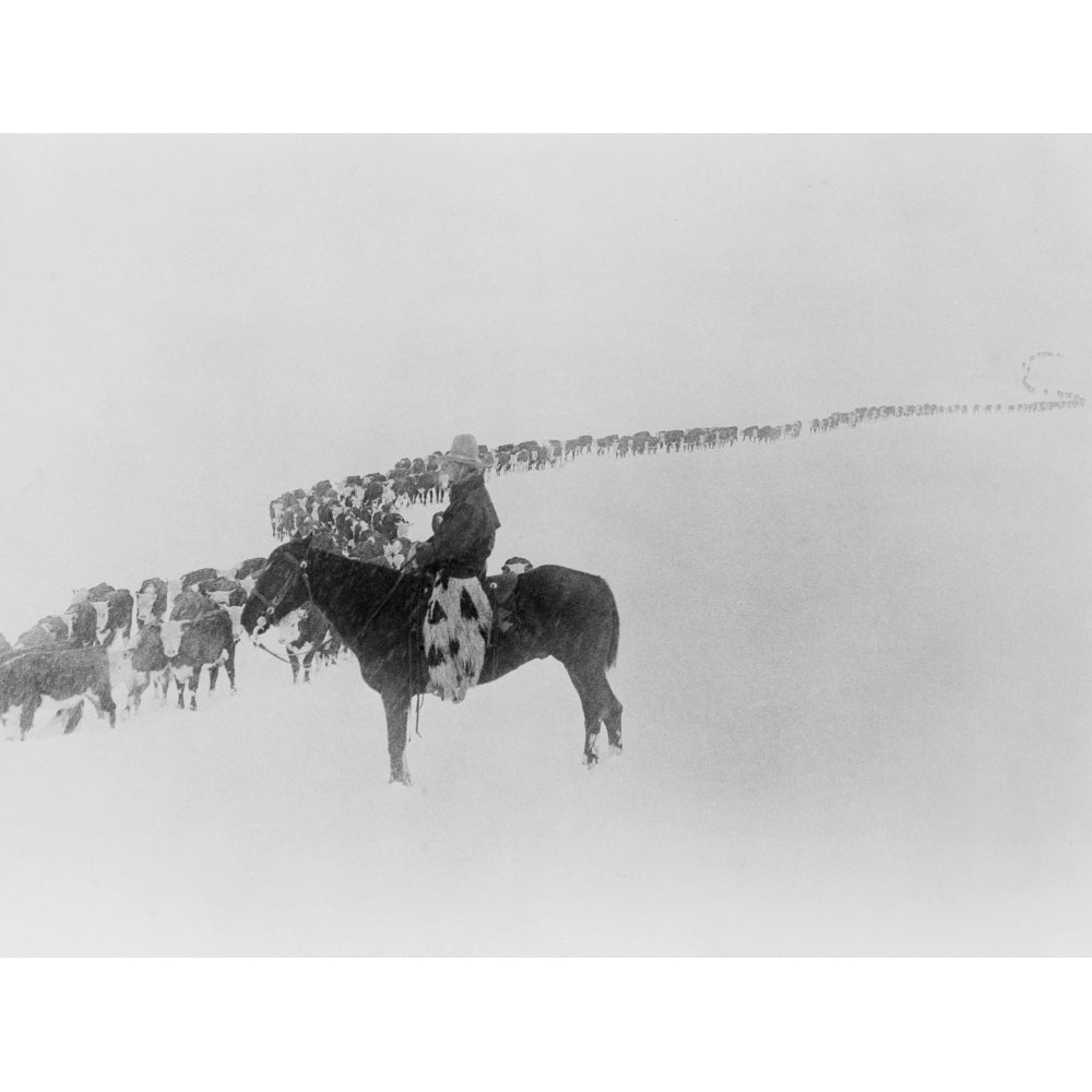 American Cowboy On Horseback Watches A Long Line Of Cattle Plodding Through Snow. Photo By Charles J. Belden History (36 Image 1