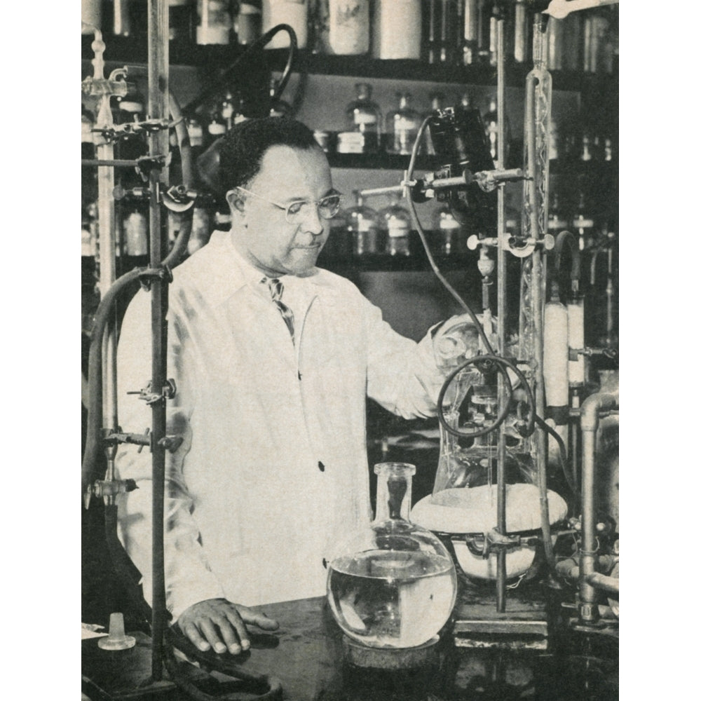 Percy Julian History Image 2