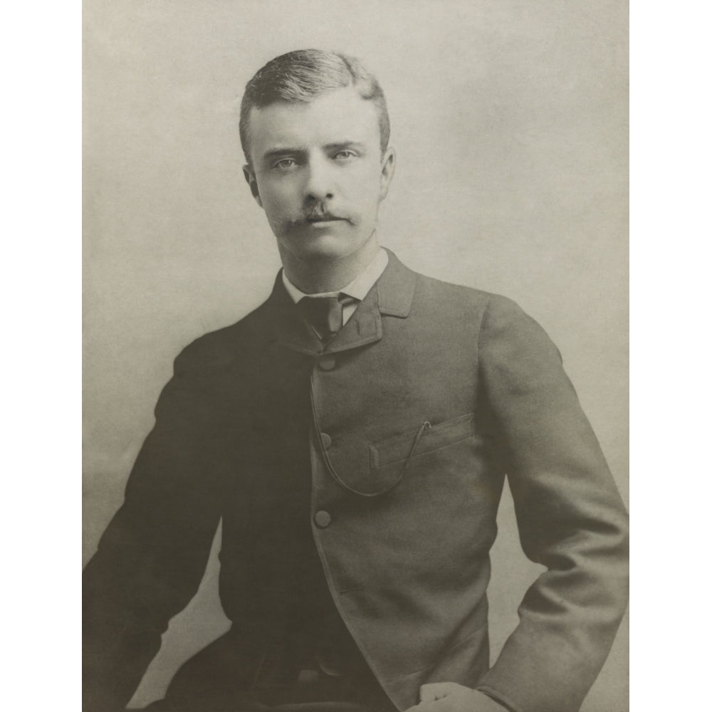 Theodore Roosevelt As An Assemblyman From York County History Image 1