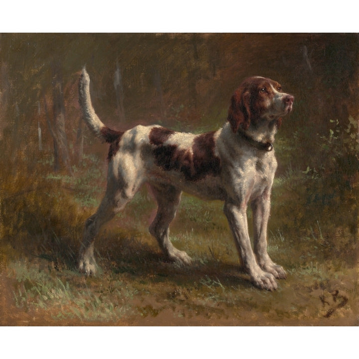 A Limier Briquet Hound Fine Art Image 2