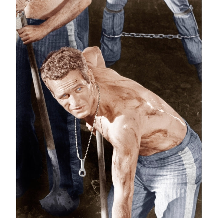 Cool Hand Luke Paul Newman 1967 Photo Print Image 2