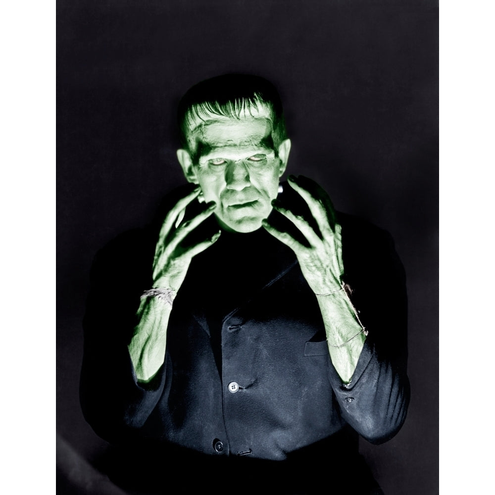 Frankenstein Boris Karloff 1931 Photo Print Image 2