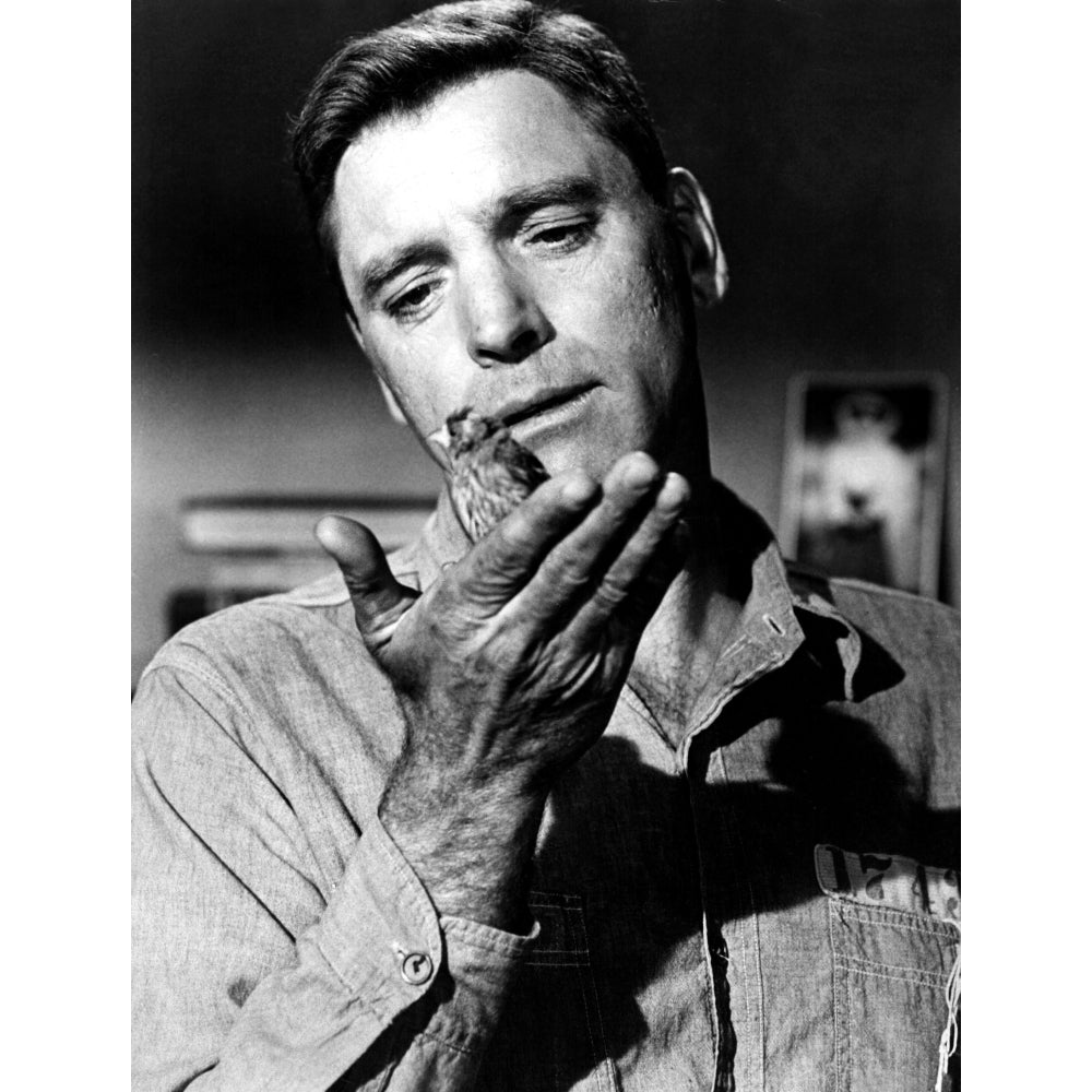 Birdman Of Alcatraz Burt Lancaster 1962 Photo Print Image 2