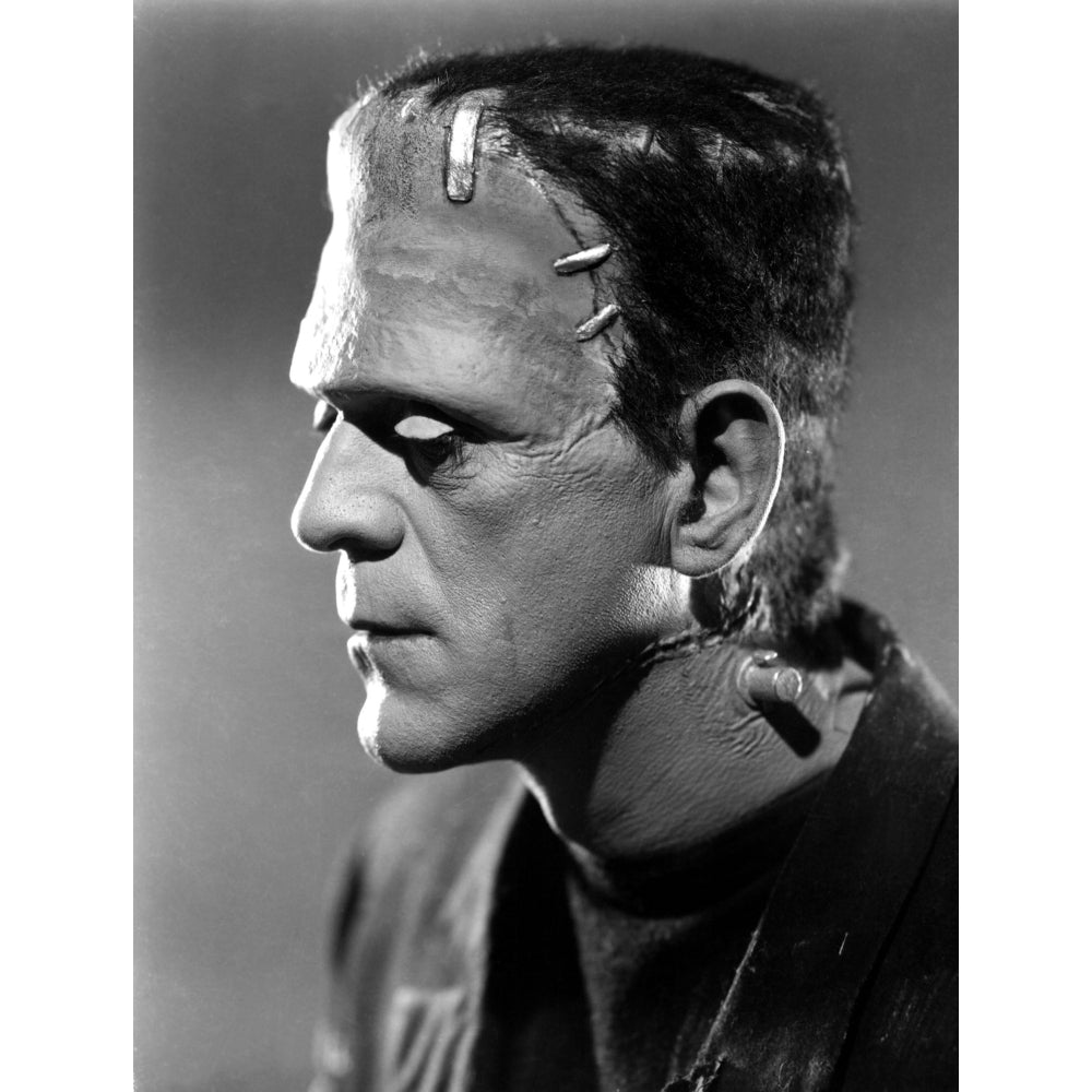 Bride Of Frankenstein Boris Karloff 1935 Poster Print Image 1