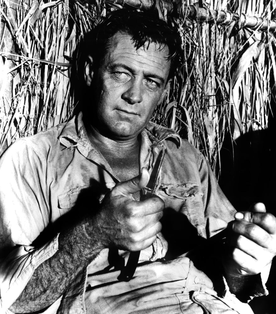 The Bridge On The River Kwai William Holden 1957 Photo Print Image 1