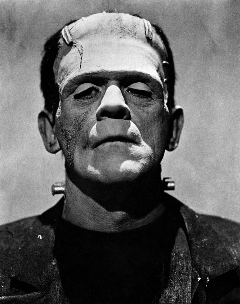 Bride Of Frankenstein Boris Karloff 1935 Photo Print Image 1