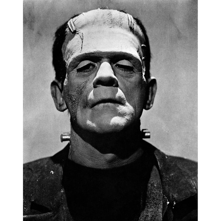 Bride Of Frankenstein Boris Karloff 1935 Photo Print Image 2