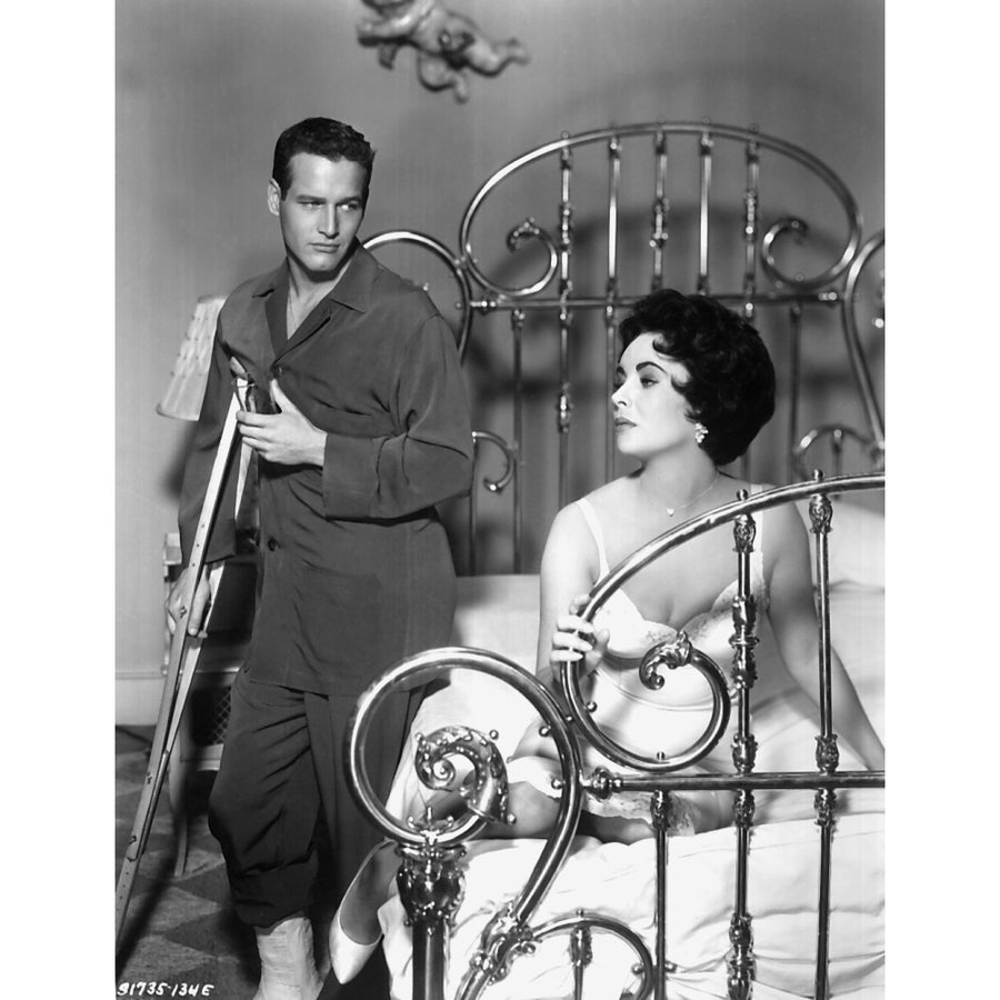 Cat On A Hot Tin Roof Photo Print Image 1