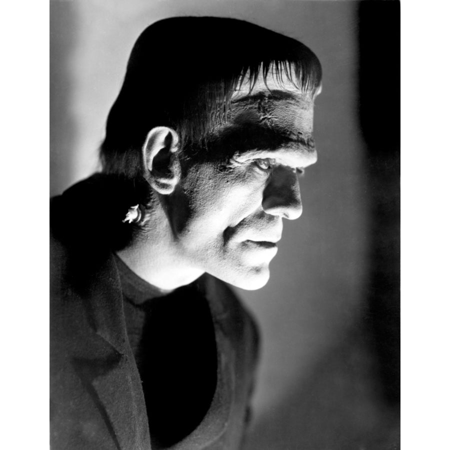 Frankenstein Boris Karloff 1931. Poster Print Image 1