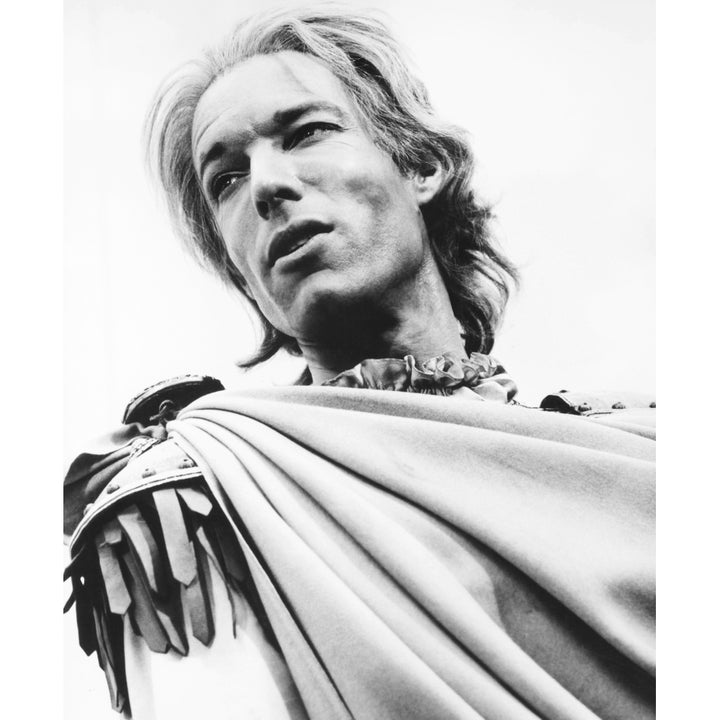 Julius Caesar Portrait Image 2