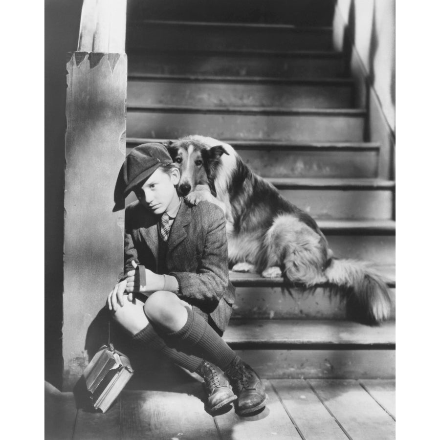 Lassie Come Home Photo Print Image 1