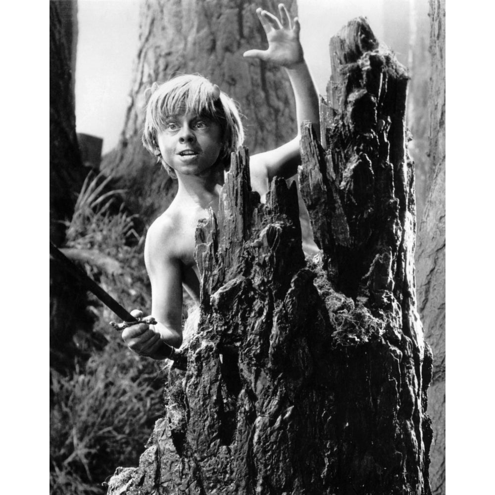 A Midsummer NightS Dream Mickey Rooney 1935 Photo Print Image 2