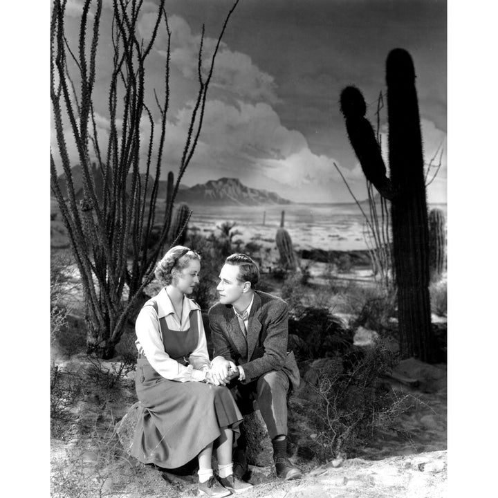 The Petrified Forest Bette Davis Leslie Howard 1936 Photo Print Image 2