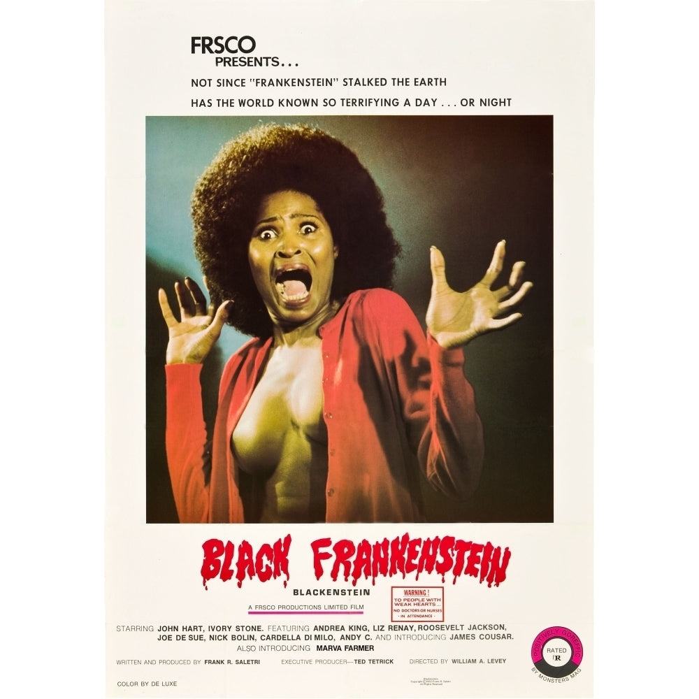 Black Frankenstein Poster Art 1973. Movie Poster Masterprint Image 2