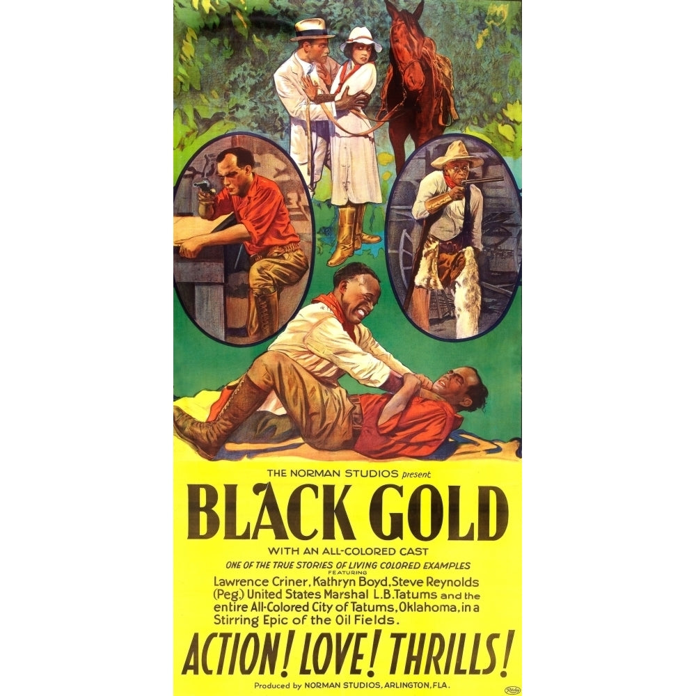 Black Gold Poster Art 1928 Movie Poster Masterprint Image 1