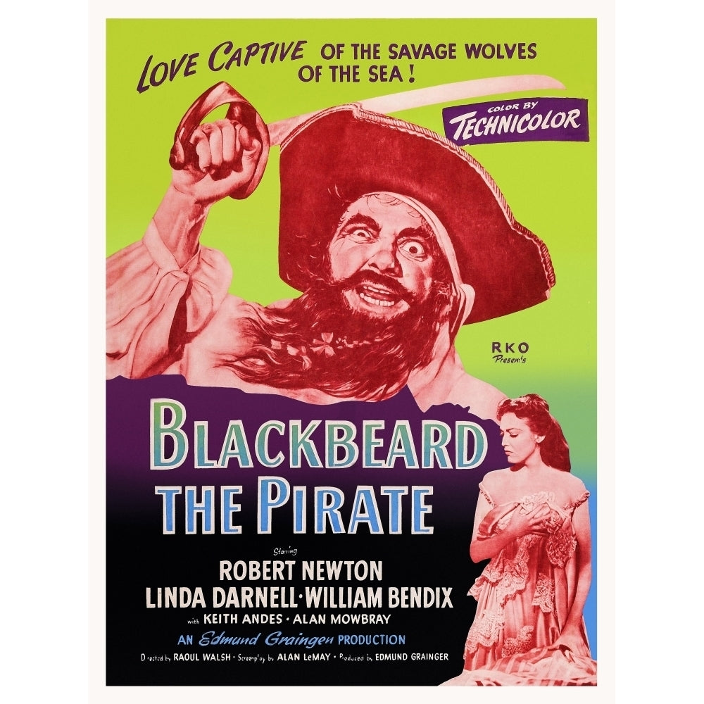 Blackbeard The Pirate U Movie Poster Masterprint Image 1