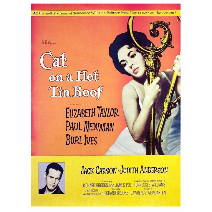 Cat On A Hot Tin Roof Elizabeth Taylor Paul Newman 1958. Movie Poster Masterprint Image 2