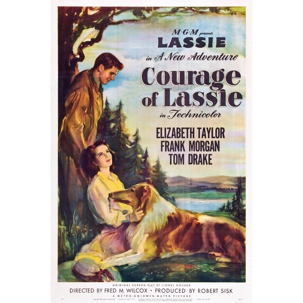 Courage Of Lassie Us Poster From Top Right: Tom Drake Elizabeth Taylor Lassie 1946 Movie Poster Masterprint Image 1