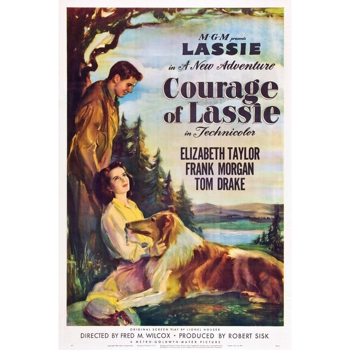 Courage Of Lassie Us Poster From Top Right: Tom Drake Elizabeth Taylor Lassie 1946 Movie Poster Masterprint Image 1