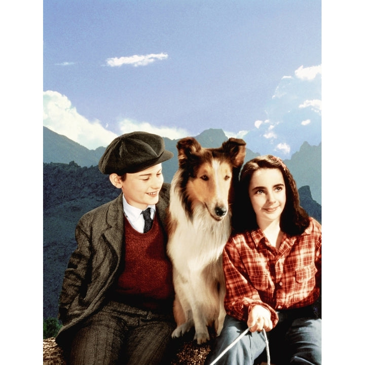 Lassie Come Home Roddy Mcdowall Lassie Elizabeth Taylor 1943 Photo Print Image 1