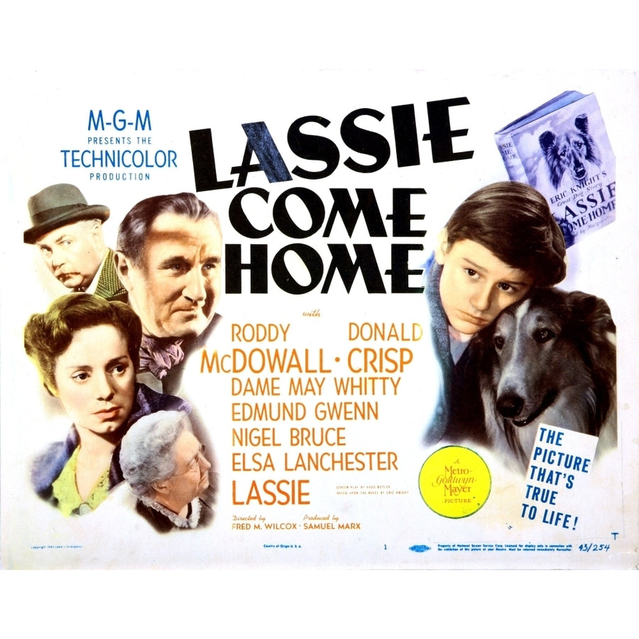 Lassie Come Home Still Image 1