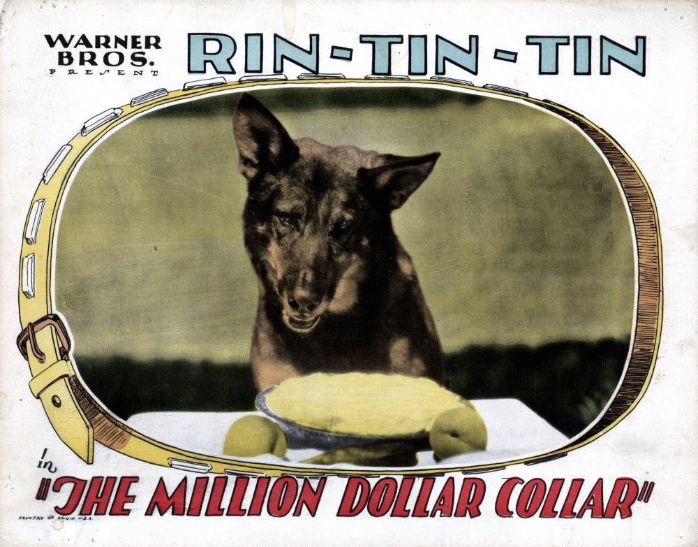 The Million Dollar Collar Rin Tin Tin 1929 Movie Poster Masterprint Image 1