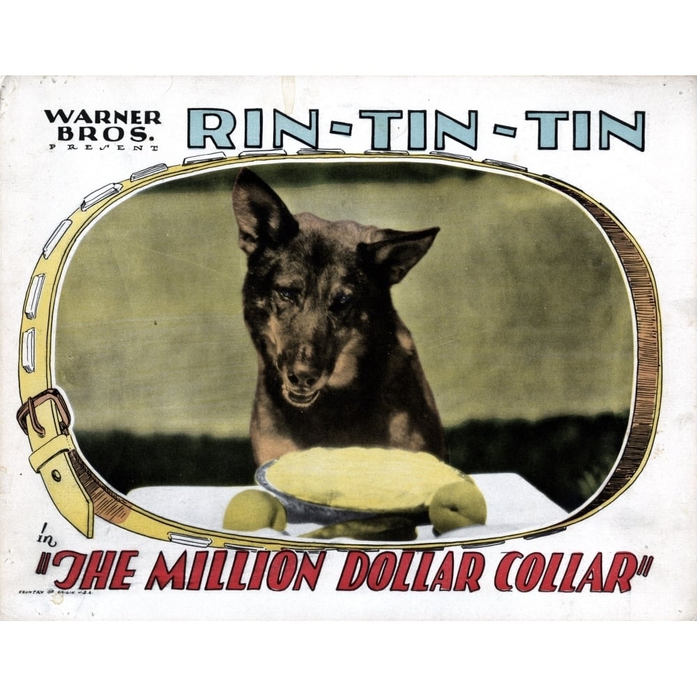 The Million Dollar Collar Rin Tin Tin 1929 Movie Poster Masterprint Image 1