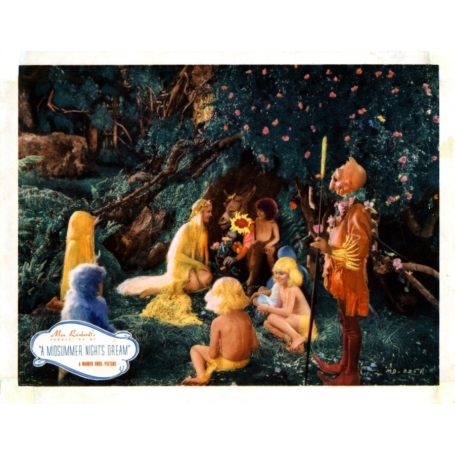 A Midsummer NightS Dream Movie Poster Masterprint Image 1